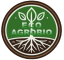 brand-logo